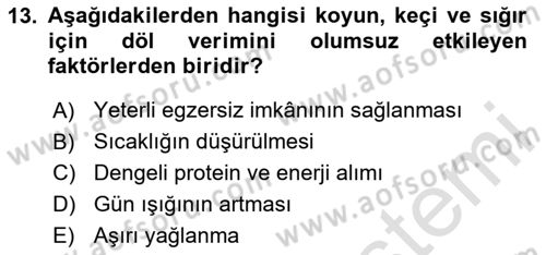 Temel Zootekni Dersi 2024 - 2025 Yılı (Vize) Ara Sınavı 13. Soru