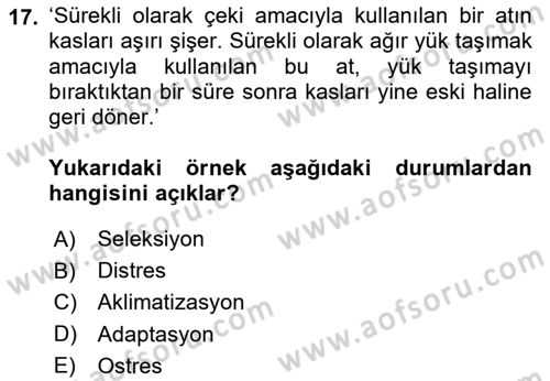 Temel Zootekni Dersi 2024 - 2025 Yılı (Vize) Ara Sınavı 17. Soru