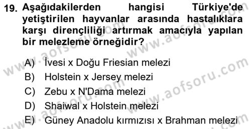 Temel Zootekni Dersi 2024 - 2025 Yılı (Vize) Ara Sınavı 19. Soru