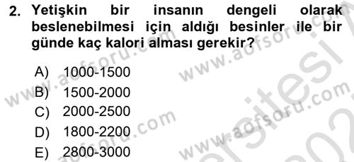 Temel Zootekni Dersi 2024 - 2025 Yılı (Vize) Ara Sınavı 2. Soru