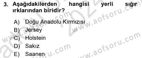 Temel Zootekni Dersi 2024 - 2025 Yılı (Vize) Ara Sınavı 3. Soru