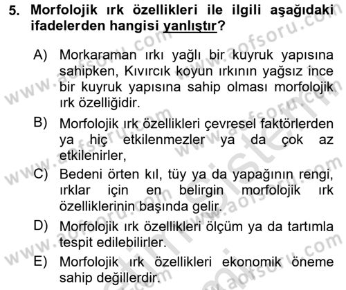 Temel Zootekni Dersi 2024 - 2025 Yılı (Vize) Ara Sınavı 5. Soru