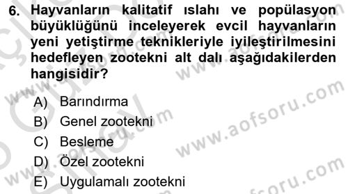 Temel Zootekni Dersi 2024 - 2025 Yılı (Vize) Ara Sınavı 6. Soru