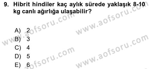 Temel Zootekni Dersi 2024 - 2025 Yılı (Vize) Ara Sınavı 9. Soru