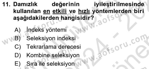 Temel Zootekni Dersi 2024 - 2025 Yılı (Final) Dönem Sonu Sınav Soruları 11. Soru