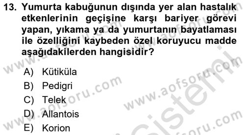 Temel Zootekni Dersi 2024 - 2025 Yılı (Final) Dönem Sonu Sınav Soruları 13. Soru
