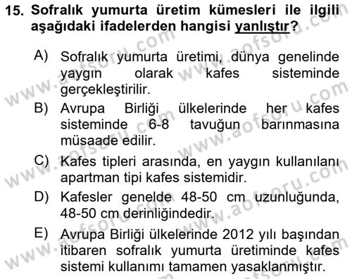 Temel Zootekni Dersi 2024 - 2025 Yılı (Final) Dönem Sonu Sınav Soruları 15. Soru
