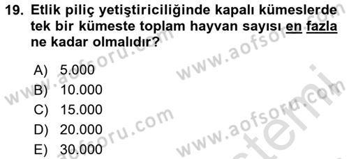 Temel Zootekni Dersi 2024 - 2025 Yılı (Final) Dönem Sonu Sınav Soruları 19. Soru