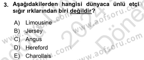 Temel Zootekni Dersi 2024 - 2025 Yılı (Final) Dönem Sonu Sınav Soruları 3. Soru