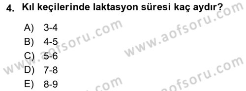 Temel Zootekni Dersi 2024 - 2025 Yılı (Final) Dönem Sonu Sınav Soruları 4. Soru