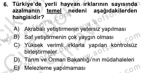 Temel Zootekni Dersi 2024 - 2025 Yılı (Final) Dönem Sonu Sınav Soruları 6. Soru