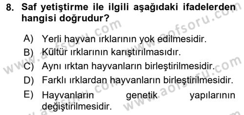 Temel Zootekni Dersi 2024 - 2025 Yılı (Final) Dönem Sonu Sınav Soruları 8. Soru