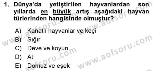 Temel Zootekni Dersi 2024 - 2025 Yılı Yaz Okulu Sınav Soruları 1. Soru