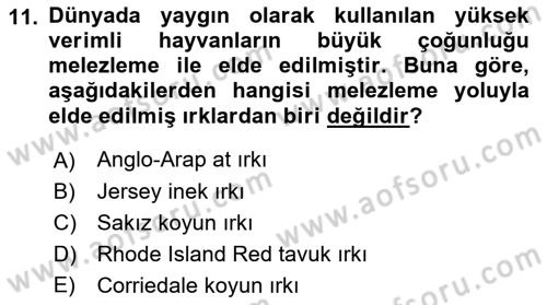 Temel Zootekni Dersi 2024 - 2025 Yılı Yaz Okulu Sınav Soruları 11. Soru