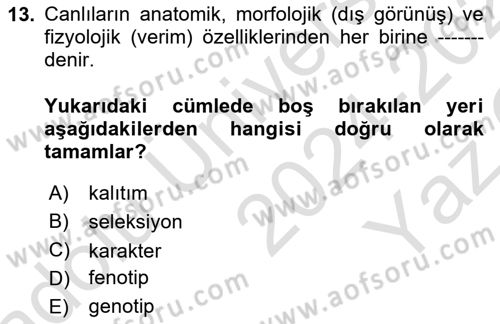 Temel Zootekni Dersi 2024 - 2025 Yılı Yaz Okulu Sınav Soruları 13. Soru