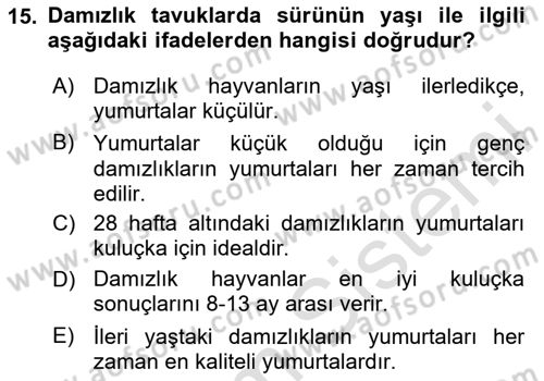 Temel Zootekni Dersi 2024 - 2025 Yılı Yaz Okulu Sınav Soruları 15. Soru