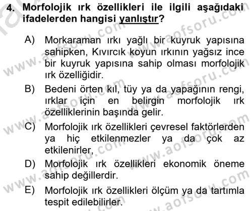 Temel Zootekni Dersi 2024 - 2025 Yılı Yaz Okulu Sınav Soruları 4. Soru