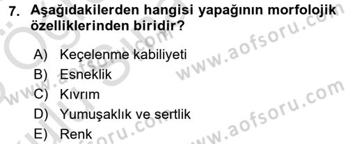 Temel Zootekni Dersi 2024 - 2025 Yılı Yaz Okulu Sınav Soruları 7. Soru