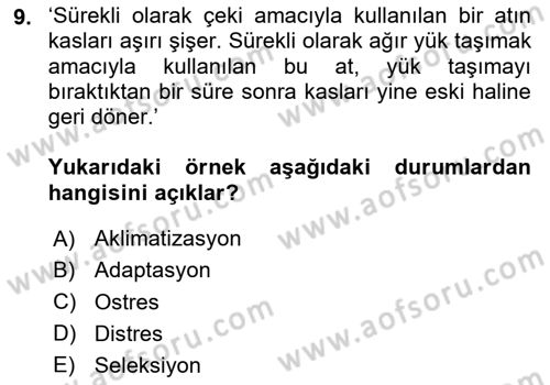Temel Zootekni Dersi 2024 - 2025 Yılı Yaz Okulu Sınav Soruları 9. Soru