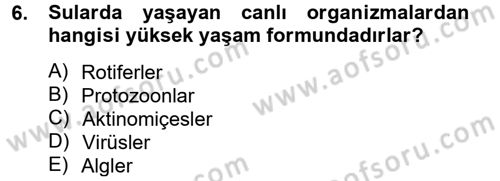 Hijyen ve Sanitasyon Dersi 2013 - 2014 Yılı Tek Ders Sınav Soruları 6. Soru