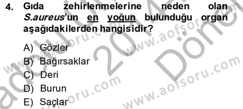 Hijyen ve Sanitasyon Dersi 2014 - 2015 Yılı (Final) Dönem Sonu Sınav Soruları 4. Soru