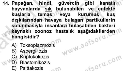 Hijyen ve Sanitasyon Dersi 2014 - 2015 Yılı Tek Ders Sınav Soruları 14. Soru