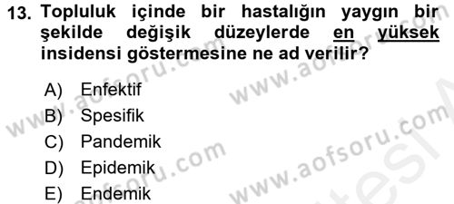 Hijyen ve Sanitasyon Dersi 2015 - 2016 Yılı (Vize) Ara Sınav Soruları 13. Soru