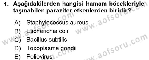 Hijyen ve Sanitasyon Dersi 2015 - 2016 Yılı Tek Ders Sınav Soruları 1. Soru