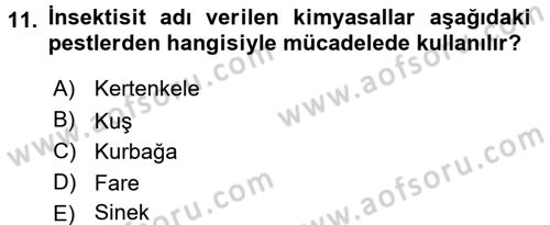 Hijyen ve Sanitasyon Dersi 2015 - 2016 Yılı Tek Ders Sınav Soruları 11. Soru