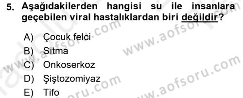 Hijyen ve Sanitasyon Dersi 2015 - 2016 Yılı Tek Ders Sınav Soruları 5. Soru