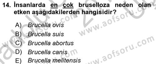 Hijyen ve Sanitasyon Dersi 2016 - 2017 Yılı 3 Ders Sınav Soruları 14. Soru