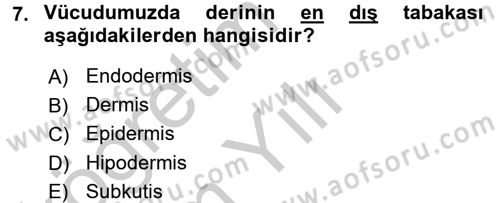 Hijyen ve Sanitasyon Dersi 2016 - 2017 Yılı 3 Ders Sınav Soruları 7. Soru
