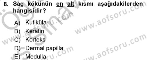 Hijyen ve Sanitasyon Dersi 2016 - 2017 Yılı 3 Ders Sınav Soruları 8. Soru