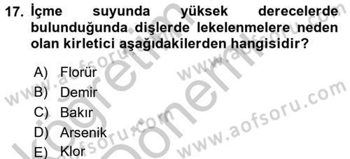 Hijyen ve Sanitasyon Dersi 2016 - 2017 Yılı (Vize) Ara Sınav Soruları 17. Soru