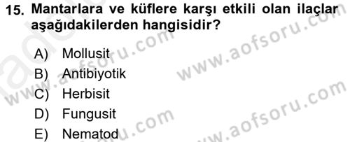 Hijyen ve Sanitasyon Dersi 2017 - 2018 Yılı 3 Ders Sınav Soruları 15. Soru