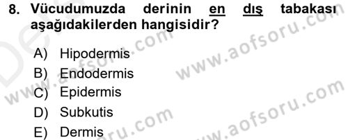 Hijyen ve Sanitasyon Dersi 2017 - 2018 Yılı 3 Ders Sınav Soruları 8. Soru