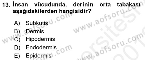 Hijyen ve Sanitasyon Dersi 2017 - 2018 Yılı (Vize) Ara Sınav Soruları 13. Soru