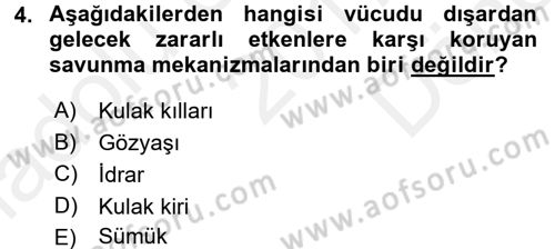 Hijyen ve Sanitasyon Dersi 2017 - 2018 Yılı (Final) Dönem Sonu Sınav Soruları 4. Soru