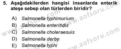 Hijyen ve Sanitasyon Dersi 2017 - 2018 Yılı (Final) Dönem Sonu Sınav Soruları 5. Soru