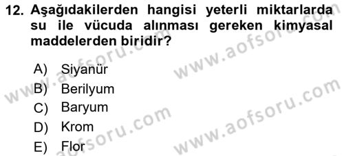 Hijyen ve Sanitasyon Dersi 2018 - 2019 Yılı 3 Ders Sınav Soruları 12. Soru