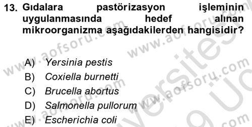 Hijyen ve Sanitasyon Dersi 2018 - 2019 Yılı 3 Ders Sınav Soruları 13. Soru