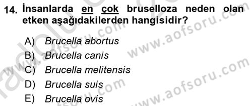 Hijyen ve Sanitasyon Dersi 2018 - 2019 Yılı 3 Ders Sınav Soruları 14. Soru