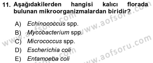 Hijyen ve Sanitasyon Dersi 2018 - 2019 Yılı (Vize) Ara Sınav Soruları 11. Soru