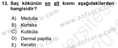 Hijyen ve Sanitasyon Dersi 2018 - 2019 Yılı (Vize) Ara Sınav Soruları 13. Soru