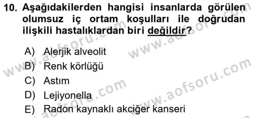 Hijyen ve Sanitasyon Dersi 2018 - 2019 Yılı (Final) Dönem Sonu Sınav Soruları 10. Soru