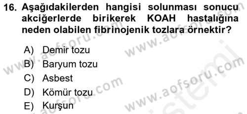 Hijyen ve Sanitasyon Dersi 2018 - 2019 Yılı (Final) Dönem Sonu Sınav Soruları 16. Soru