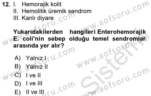 Hijyen ve Sanitasyon Dersi 2020 - 2021 Yılı Yaz Okulu Sınav Soruları 12. Soru