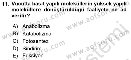 Hijyen ve Sanitasyon Dersi 2021 - 2022 Yılı (Vize) Ara Sınav Soruları 11. Soru
