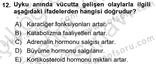 Hijyen ve Sanitasyon Dersi 2021 - 2022 Yılı (Vize) Ara Sınav Soruları 12. Soru