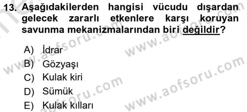 Hijyen ve Sanitasyon Dersi 2021 - 2022 Yılı (Vize) Ara Sınav Soruları 13. Soru